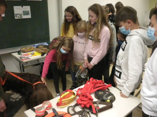 Schulbesuch Gymnasium 2020